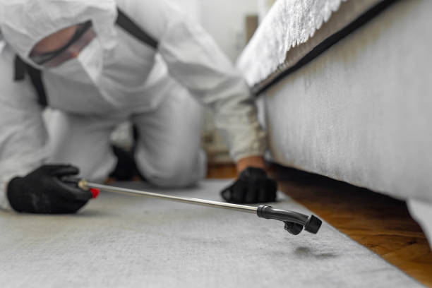 Professional Bed Bug Control technician working in Farmers Branch, TX