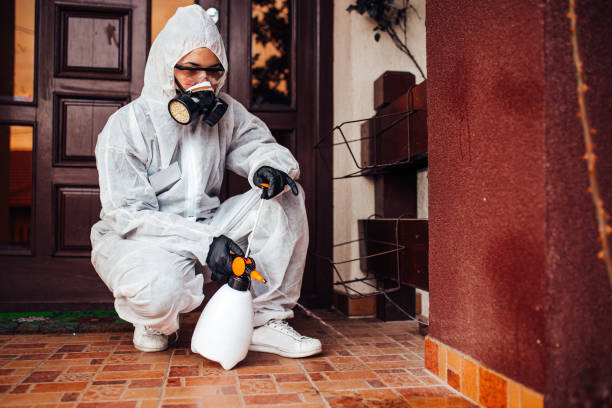 Reliable Bed Bug Control contractor in Farmers Branch, TX by Nex Pest Control