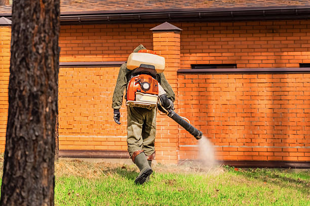 Trusted Cockroach Control service in Farmers Branch, TX - Nex Pest Control